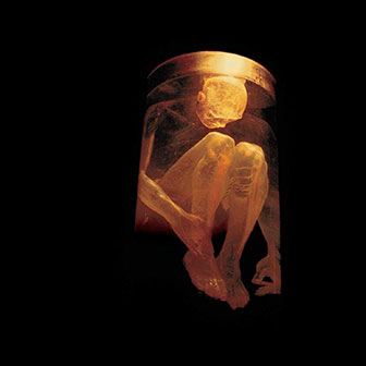 "Nothing Safe" album by Alice In Chains "Nothing Safe" album by Alice In Chains