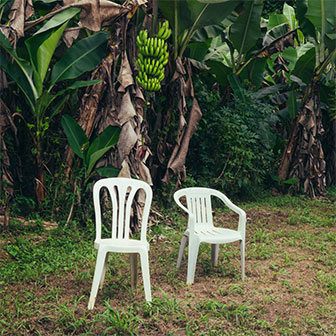 "Debí Tirar Más Fotos" album by Bad Bunny "Debí Tirar Más Fotos" album by Bad Bunny