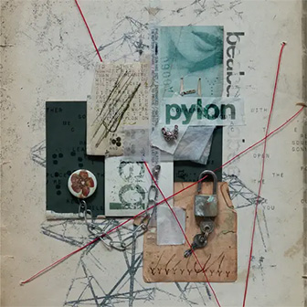 "Pylon" album "Pylon" album