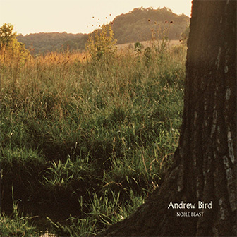 "Noble Beast" album by Andrew Bird "Noble Beast" album by Andrew Bird
