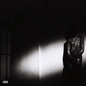 "No Stylist" album by Destroy Lonely "No Stylist" album by Destroy Lonely