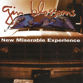 "Hey Jealousy" by Gin Blossoms "Hey Jealousy" by Gin Blossoms