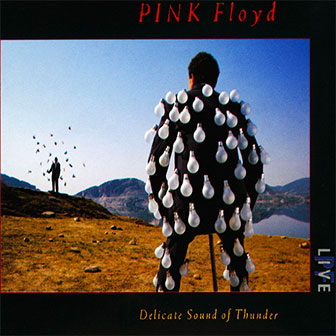 "Delicate Sound Of Thunder" album by Pink Floyd "Delicate Sound Of Thunder" album by Pink Floyd