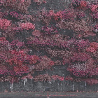 "Even In Arcadia" album "Even In Arcadia" album