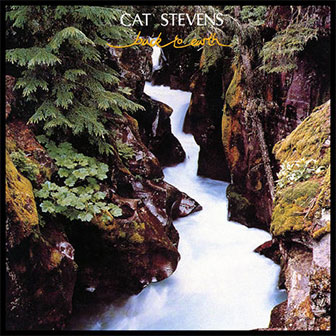 "Back To Earth" album by Cat Stevens "Back To Earth" album by Cat Stevens