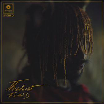 "It Is What It Is" album by Thundercat "It Is What It Is" album by Thundercat
