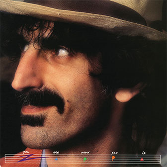"You Are What You Is" album by Frank Zappa