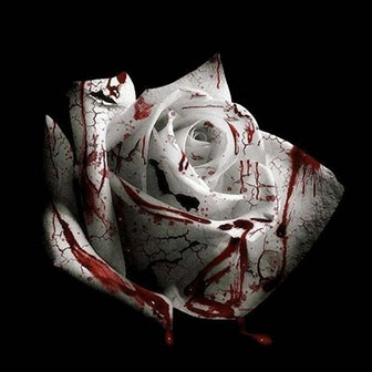 "Romantic Homicide" by d4vd "Romantic Homicide" by d4vd